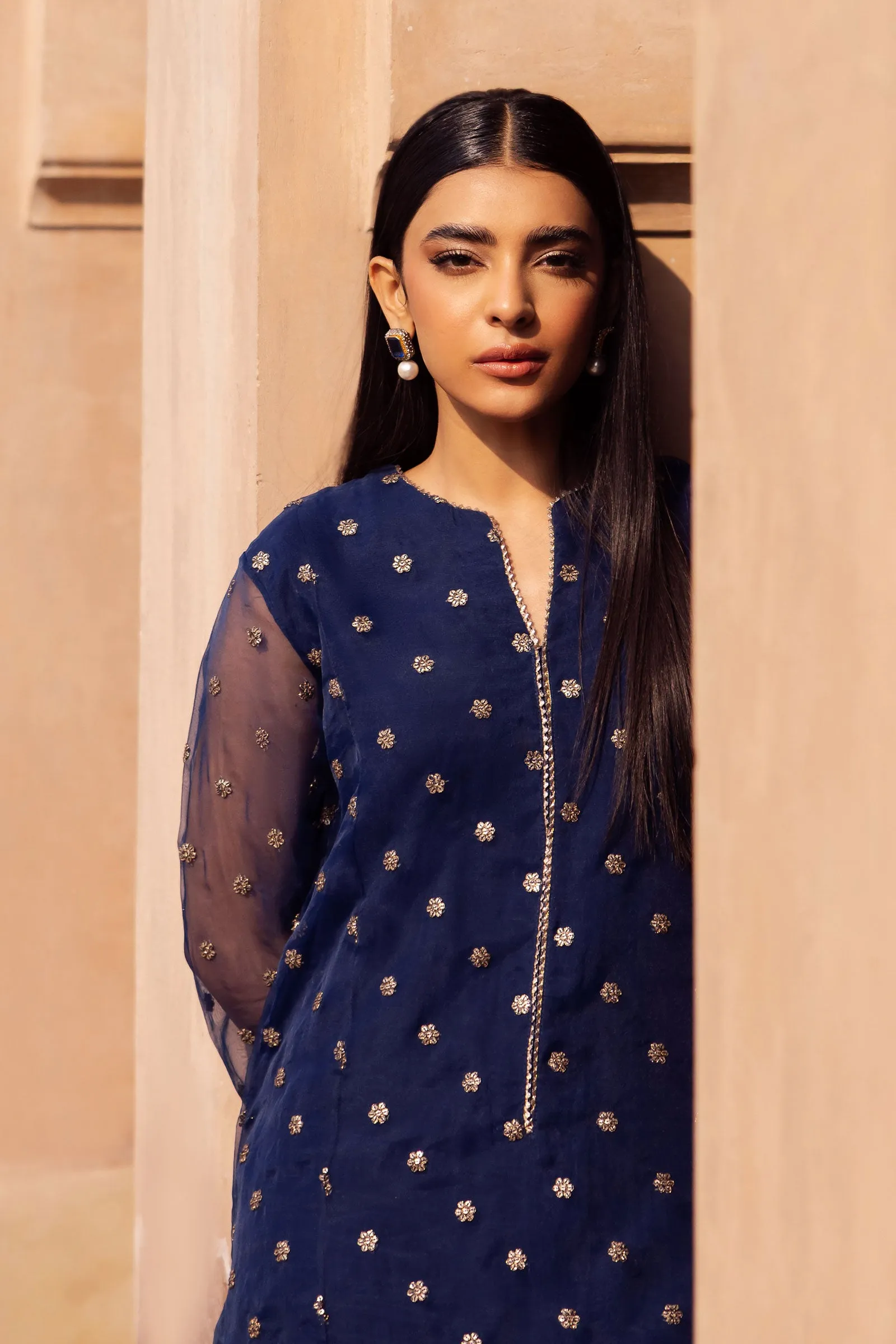 2 Pc Embroidered Organza Suit | MB-F24-505