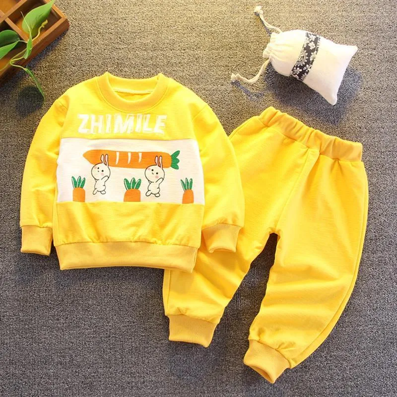 2-piece Rabbit Pattern Sweatshirt & Pants for Toddler Girl