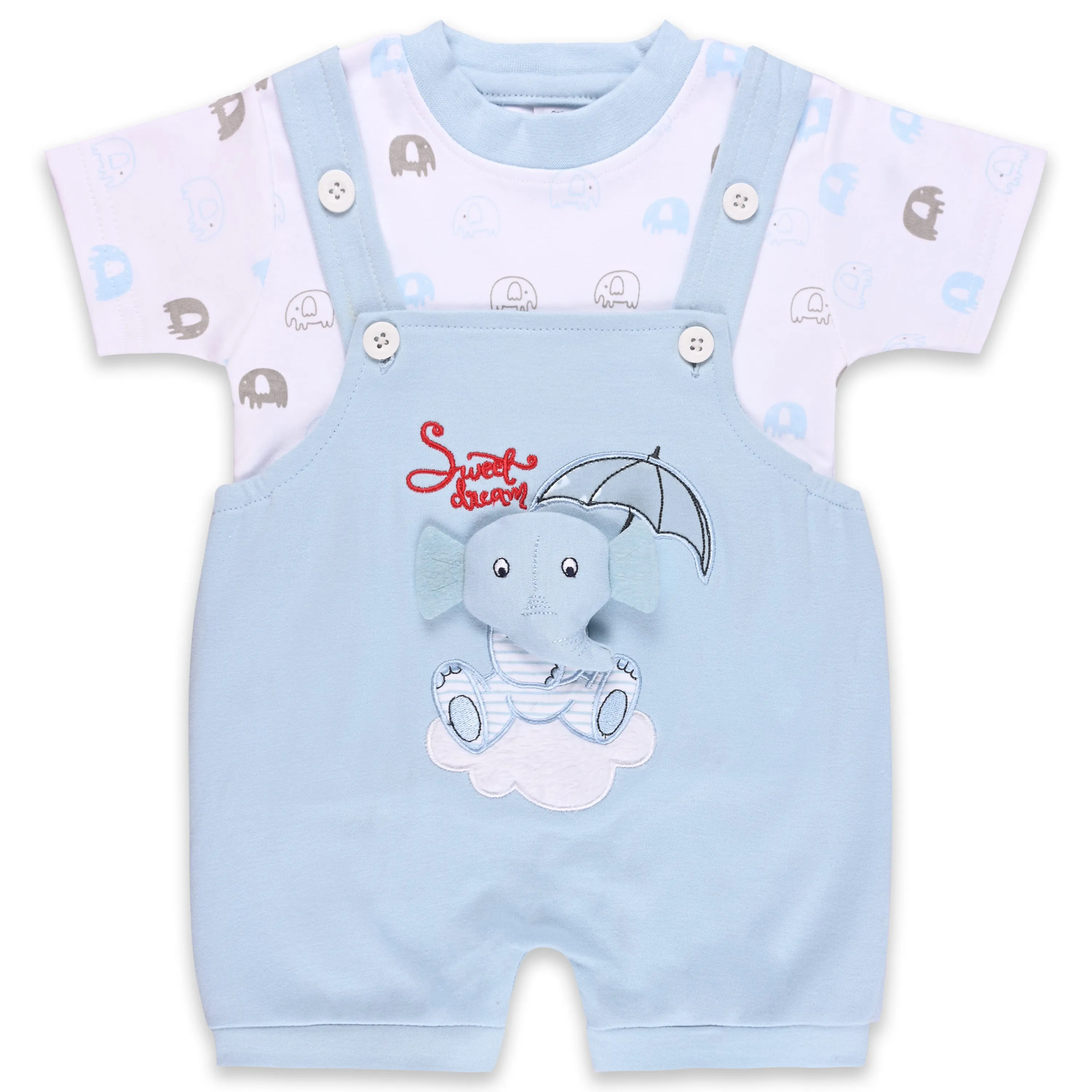 Baby Boys Applique Print T-Shirt and Shorts Dungaree Set