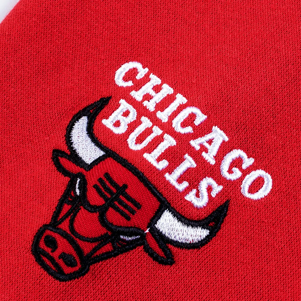 FexPro Men's NBA Basic Primary Logo Hoodie Bulls