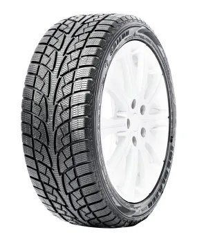 Ice Blazer WSL2 - 195/65R15 95T